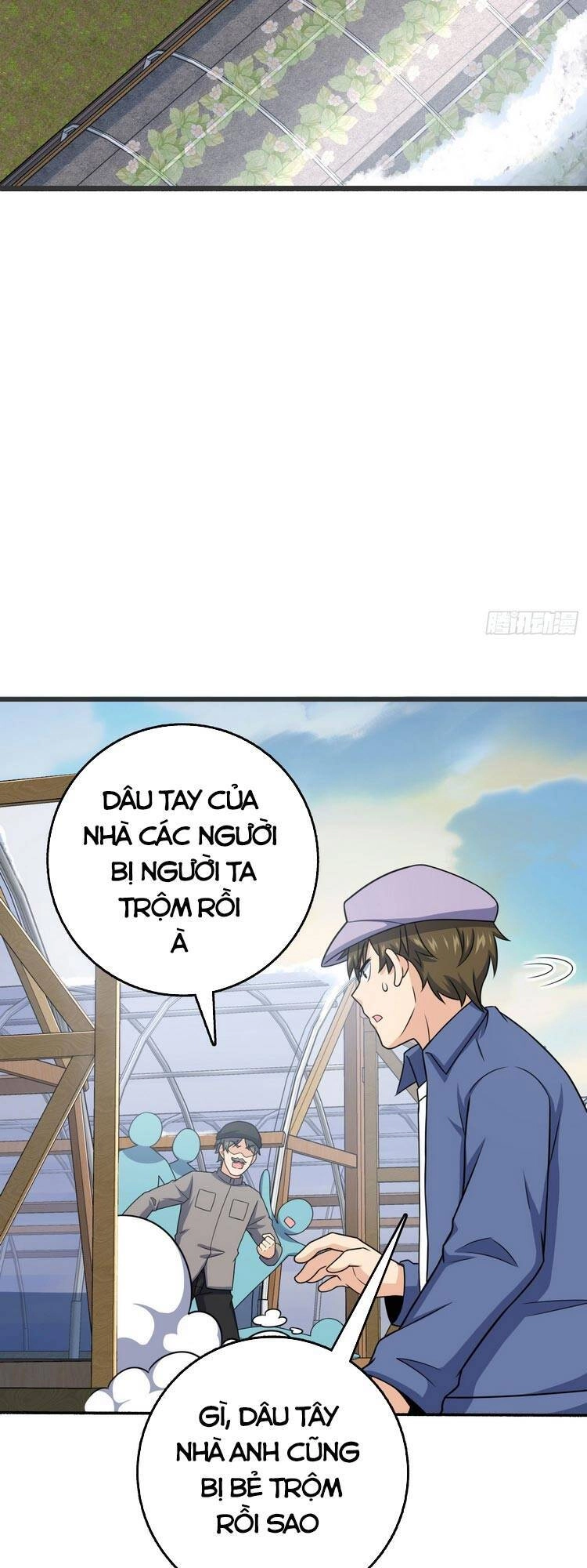 Đại Vương Tha Mạng Chapter 256 - 51