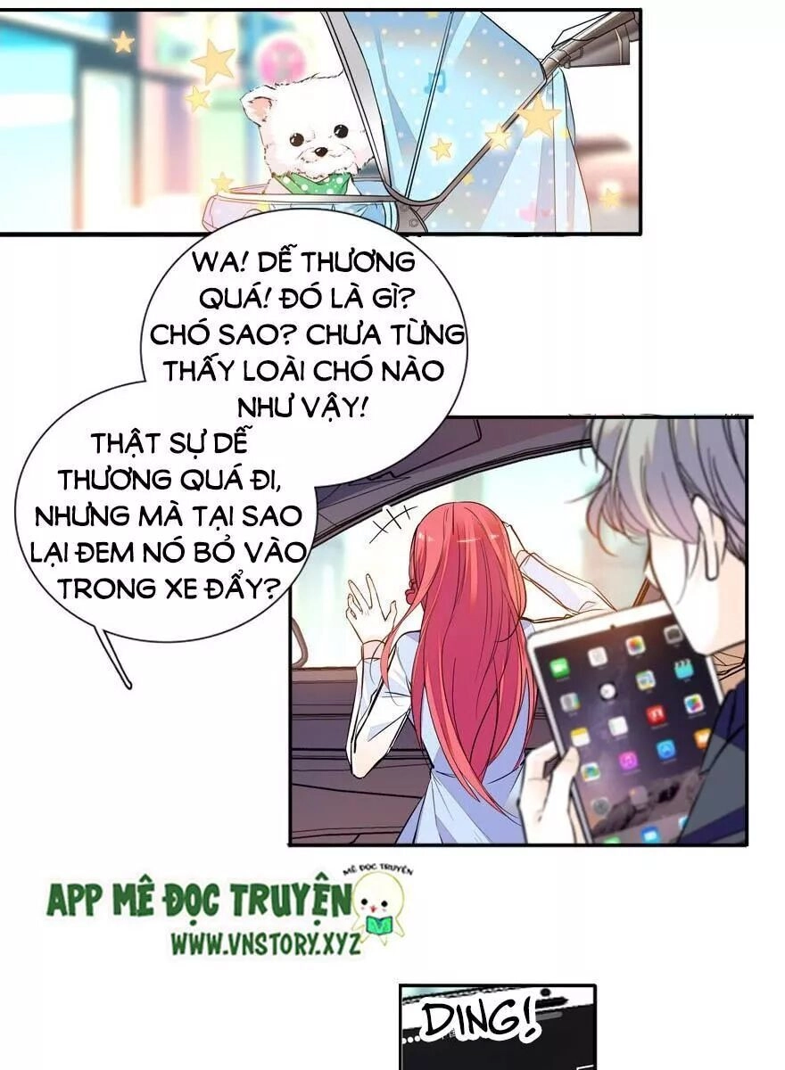 Ngọt Ngào Uy Vũ: Boss Sủng Đến Nghiện Chapter 51 - 18