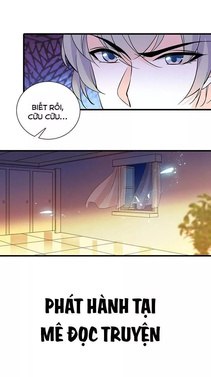 Ngọt Ngào Uy Vũ: Boss Sủng Đến Nghiện Chapter 152 - 22