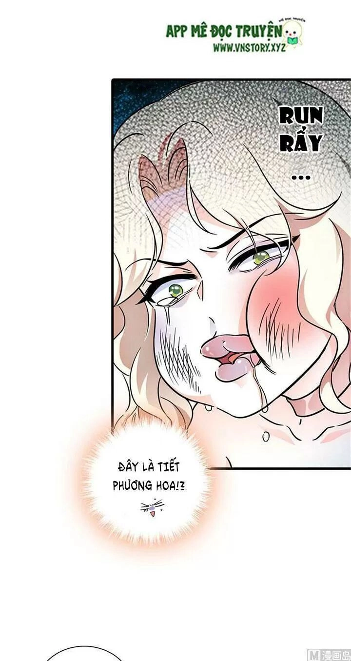 Ngọt Ngào Uy Vũ: Boss Sủng Đến Nghiện Chapter 222 - 3