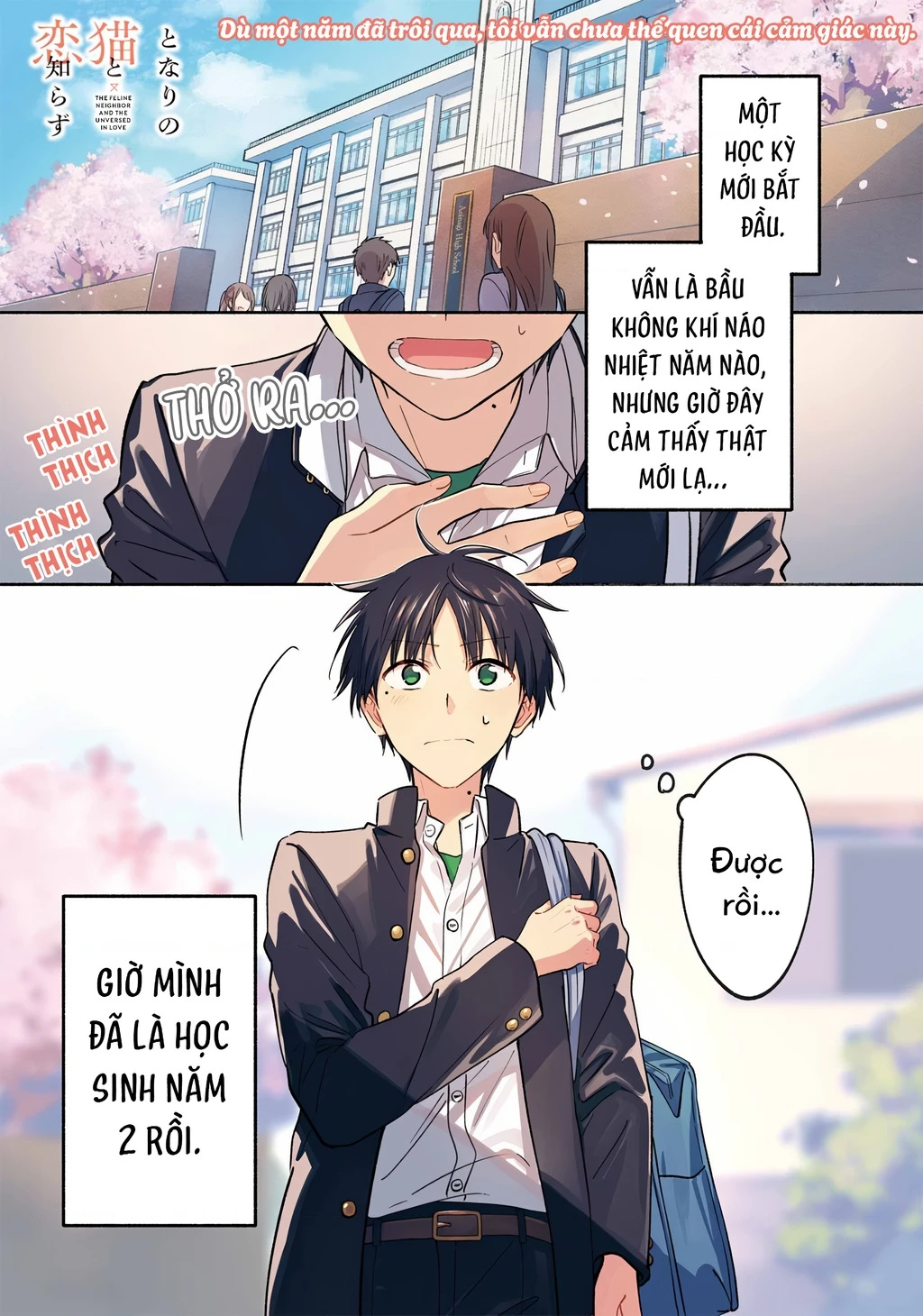 Cô Nàng Mèo Ngủ Gật Và Chàng Trai Hướng Nội Chapter 38 - 2