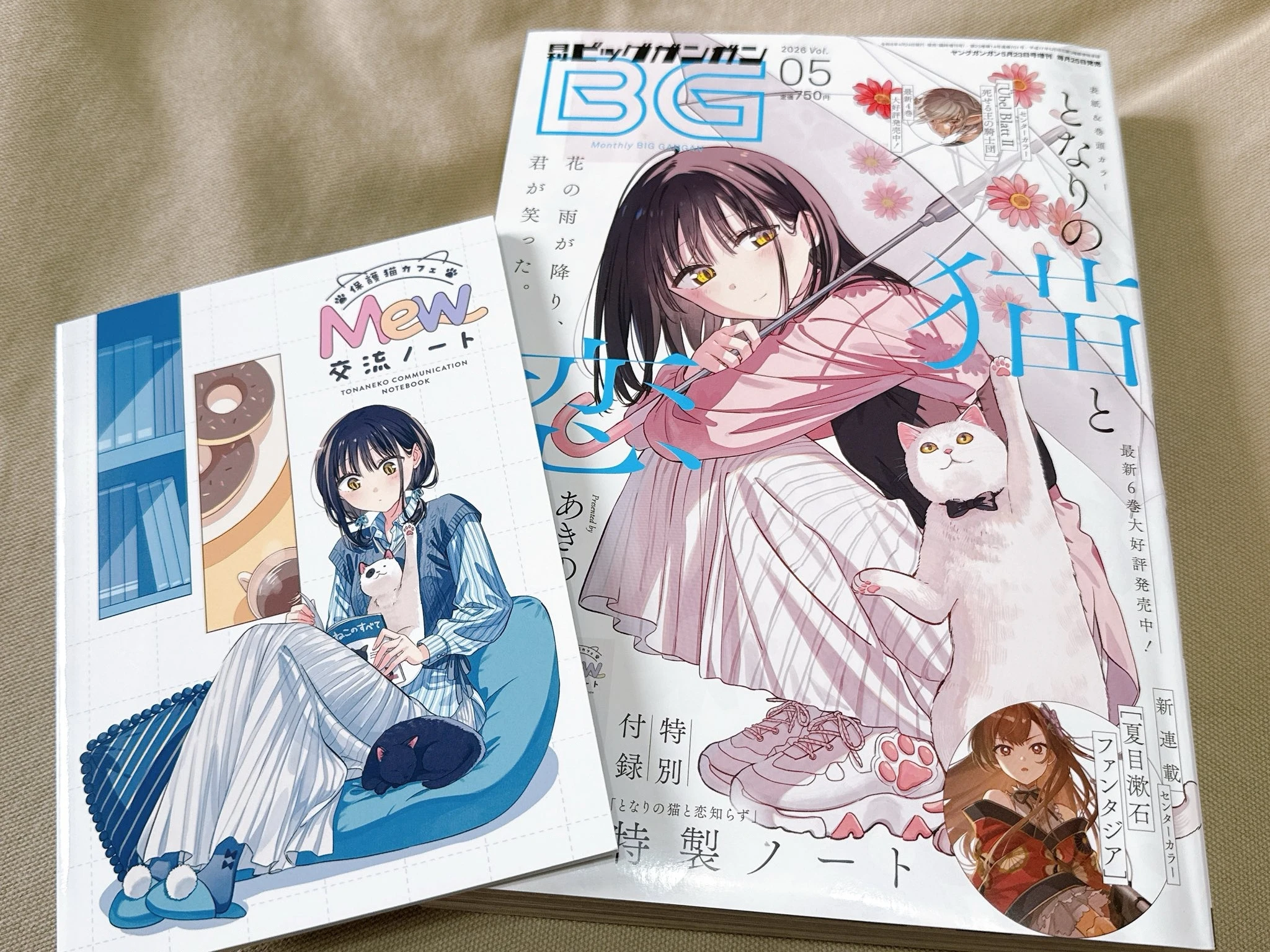 Cô Nàng Mèo Ngủ Gật Và Chàng Trai Hướng Nội Chapter 38 - 41