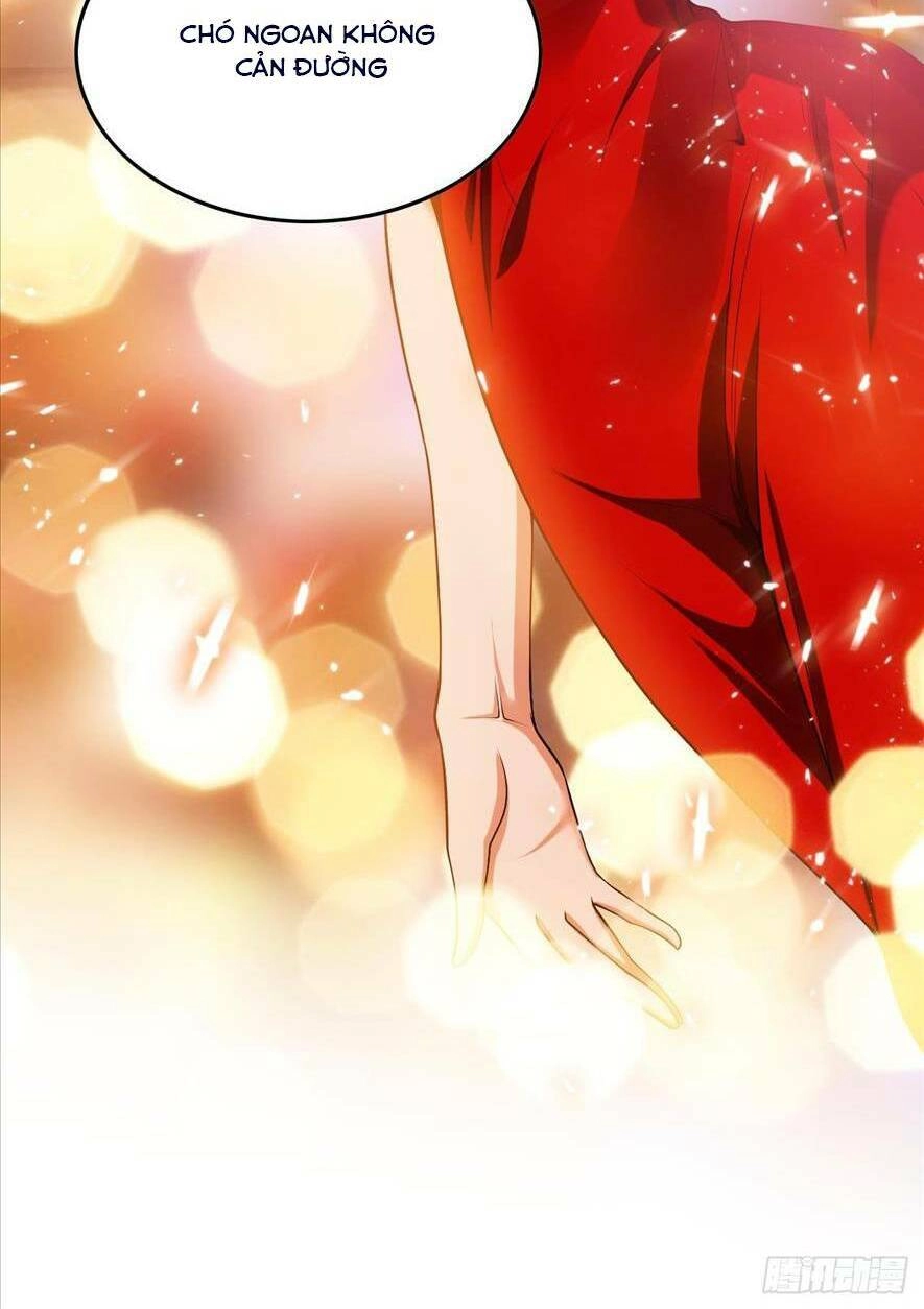 Người Tình Hợp Đồng Của Tổng Tài Chapter 1 - 11