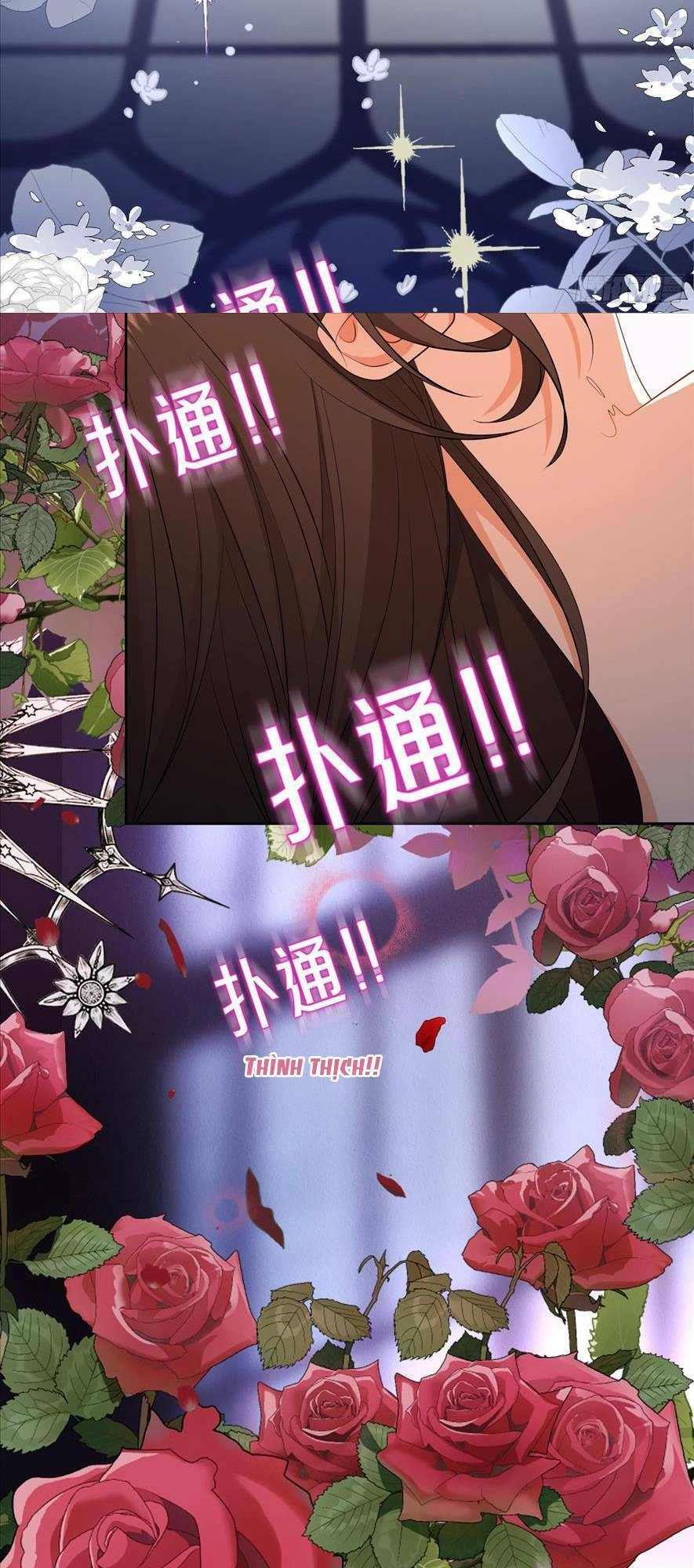 Người Tình Hợp Đồng Của Tổng Tài Chapter 3 - 10