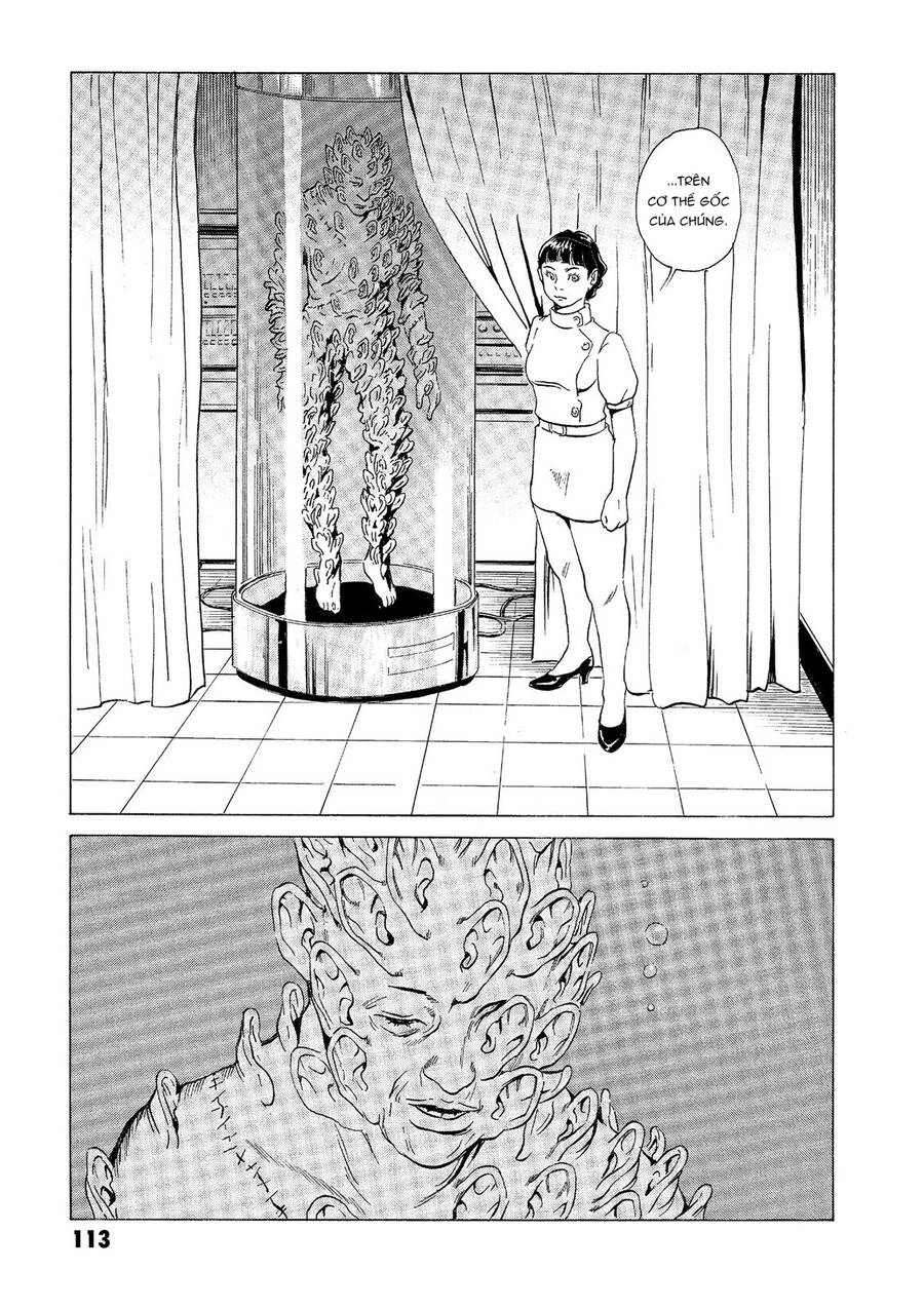 The Kurosagi Corpse Delivery Service Chapter 32 - 22