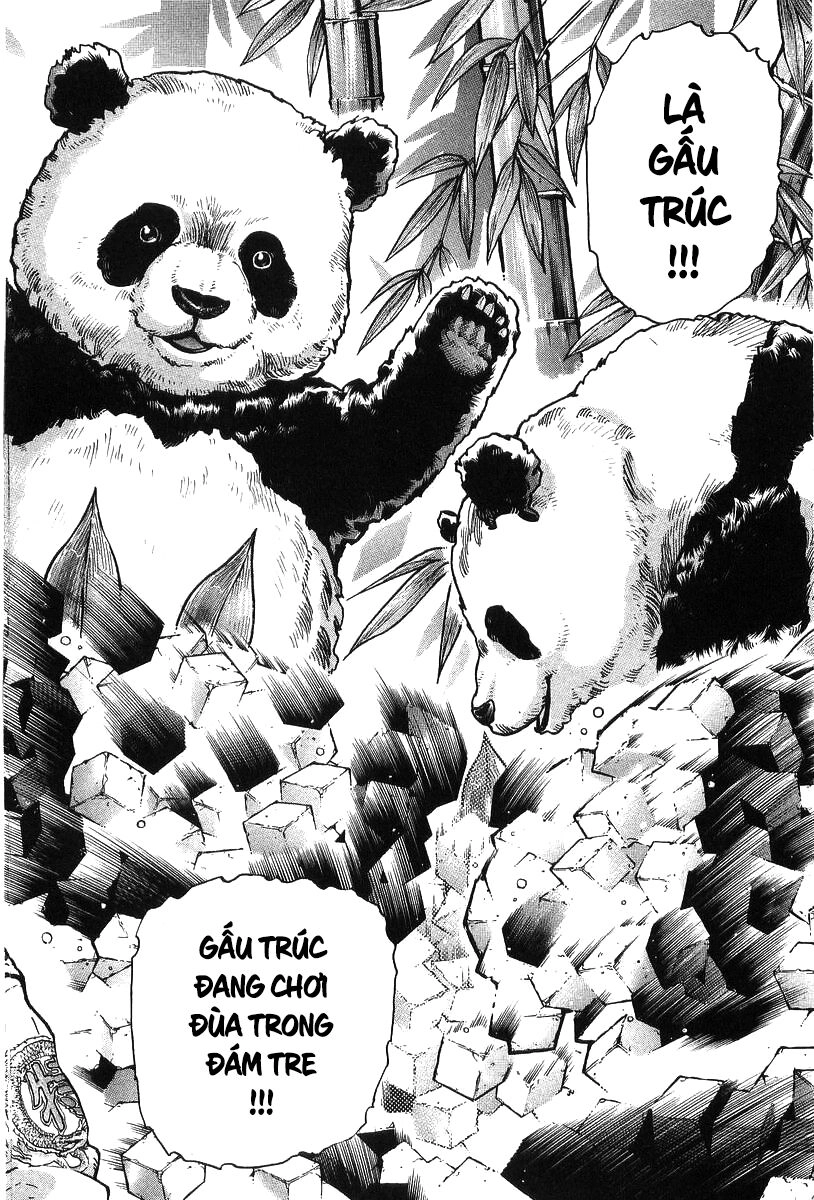 Trung Hoa Tiểu Đầu Bếp - Chuuka Ichiban Chapter 81 - 7