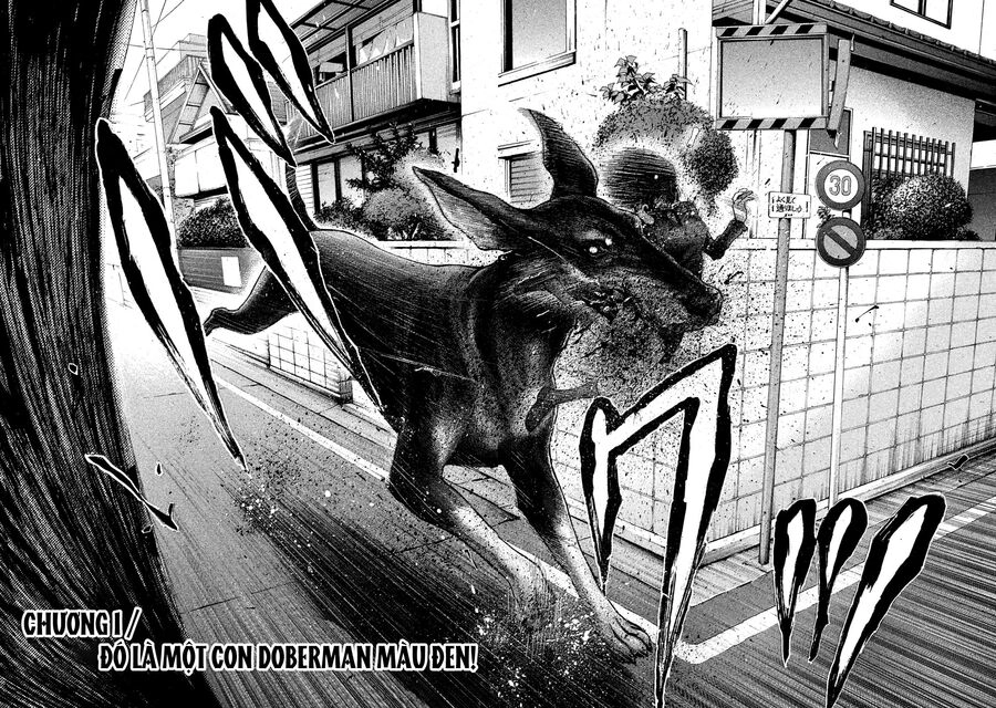 Chiến Binh Cách Mạng: Người Chó Còn Trinh Chapter 1 - 9