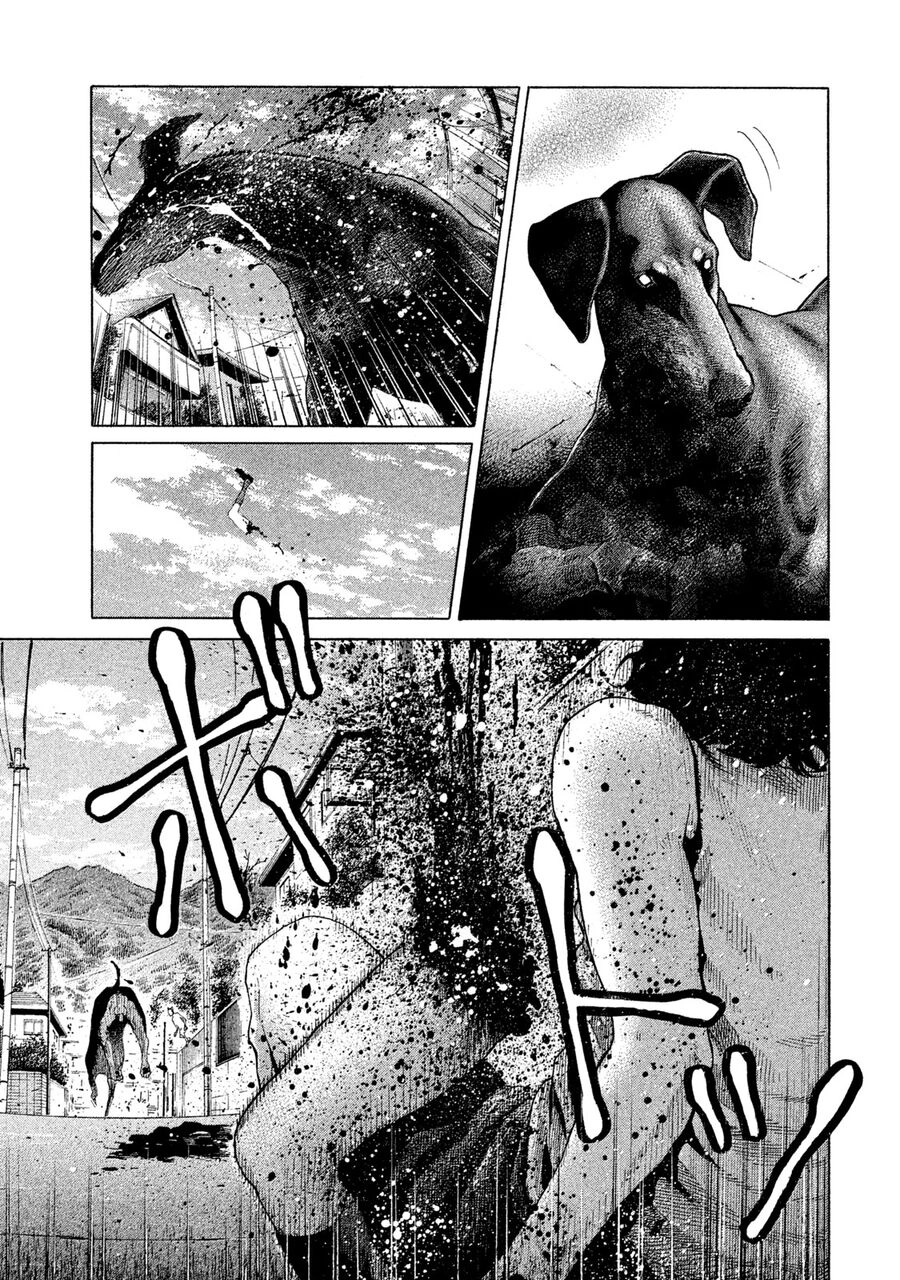 Chiến Binh Cách Mạng: Người Chó Còn Trinh Chapter 1 - 13