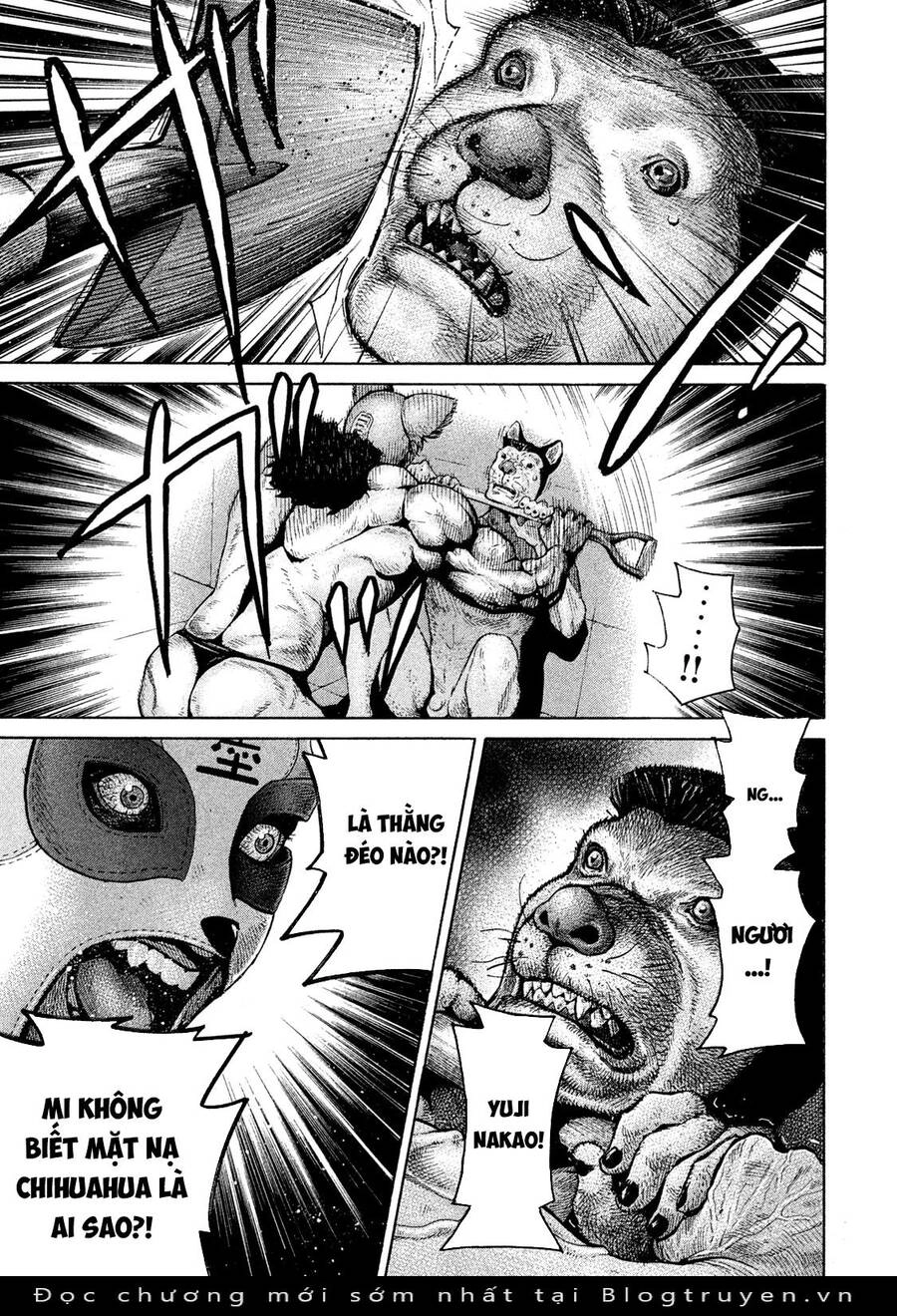 Chiến Binh Cách Mạng: Người Chó Còn Trinh Chapter 8 - 17