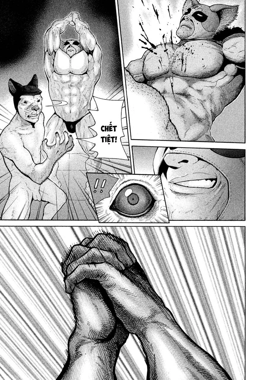 Chiến Binh Cách Mạng: Người Chó Còn Trinh Chapter 8 - 19