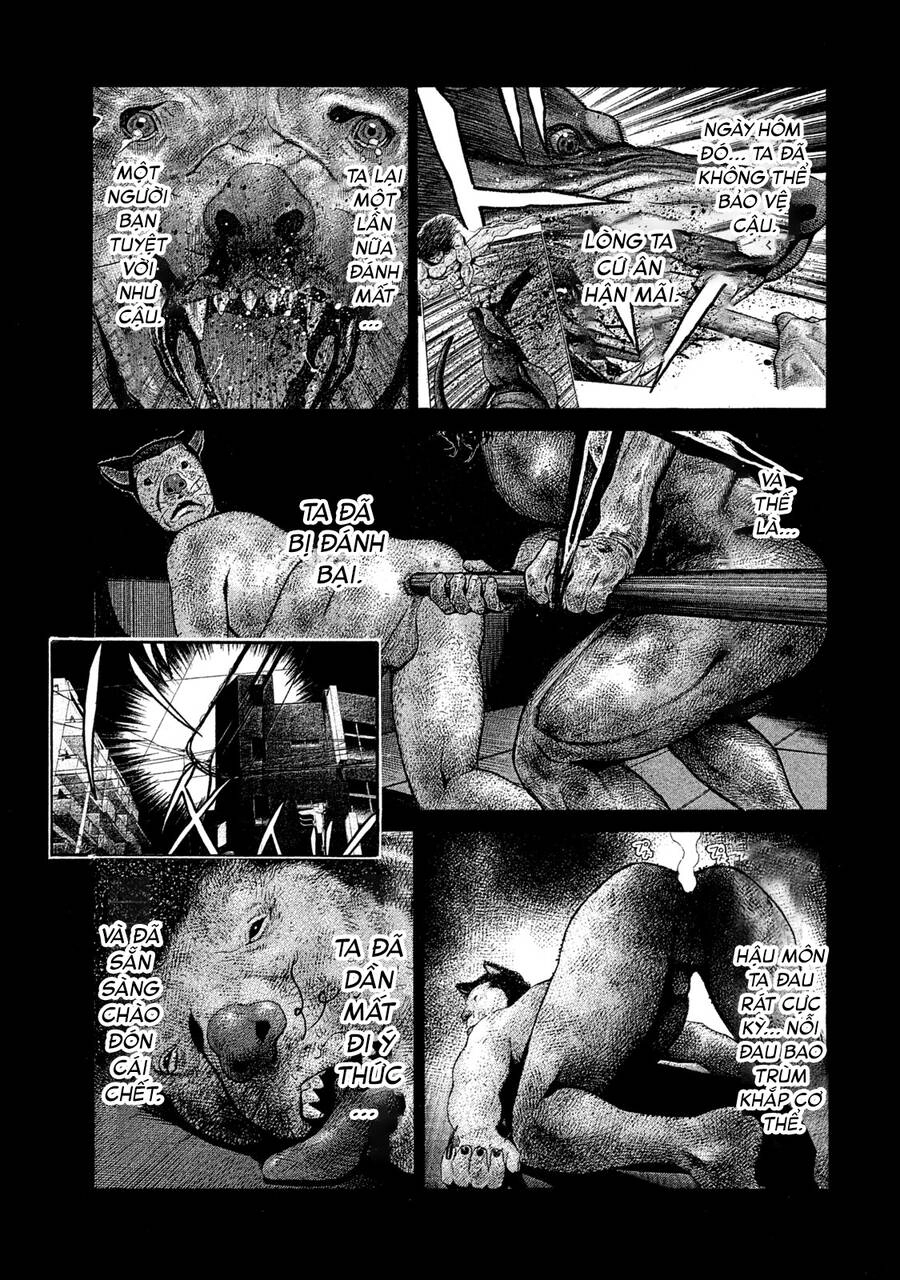 Chiến Binh Cách Mạng: Người Chó Còn Trinh Chapter 10 - 17