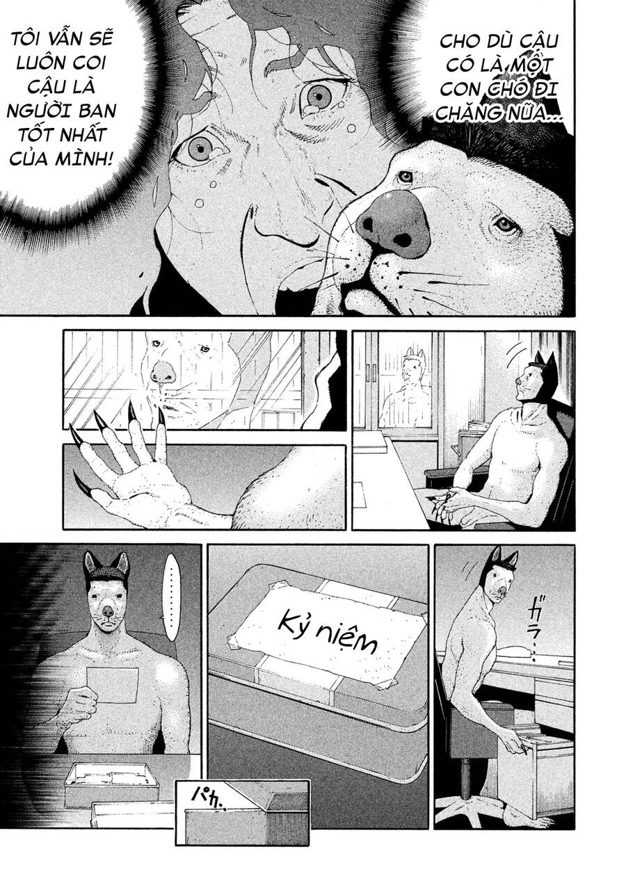 Chiến Binh Cách Mạng: Người Chó Còn Trinh Chapter 14 - 14