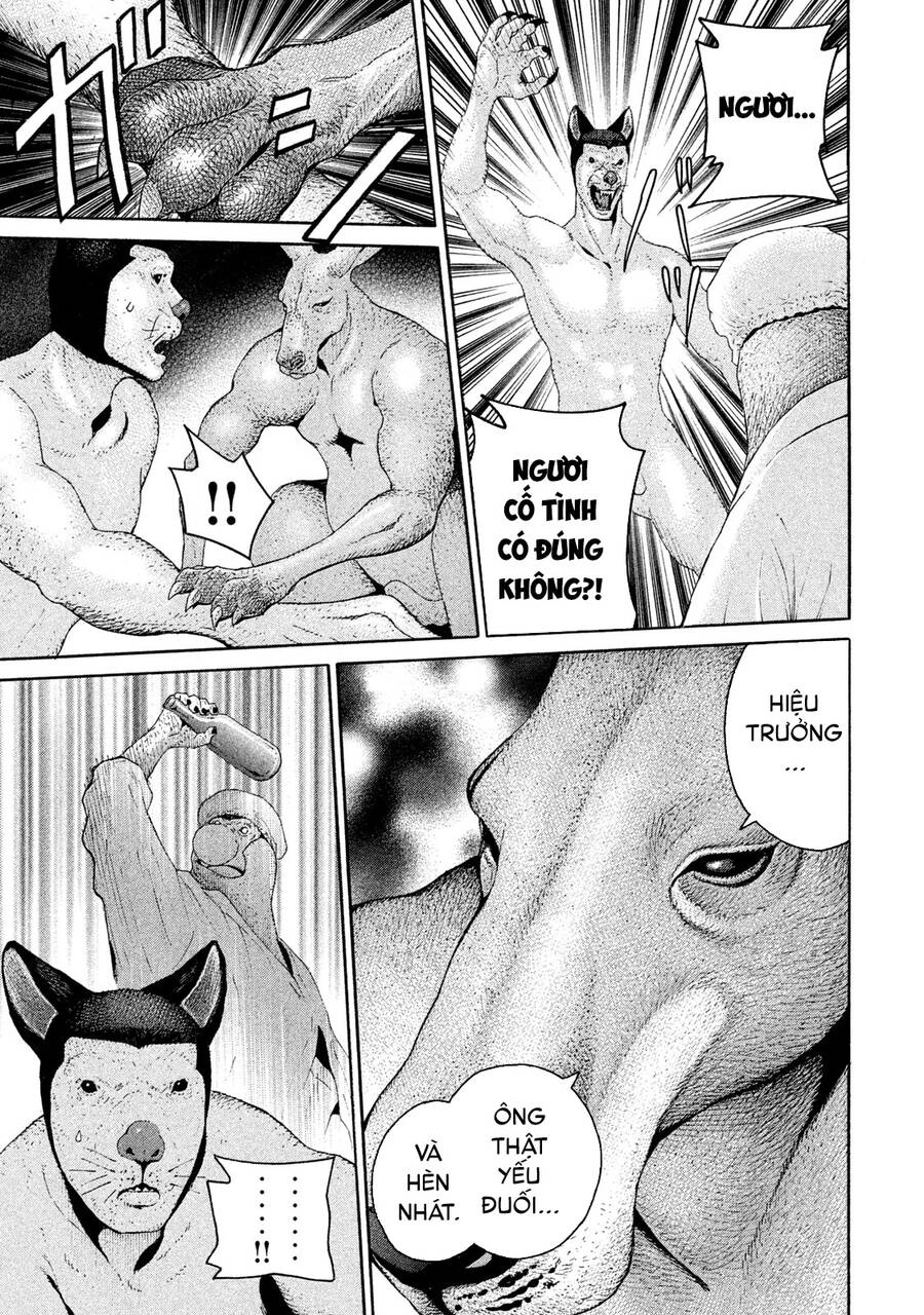 Chiến Binh Cách Mạng: Người Chó Còn Trinh Chapter 14 - 22