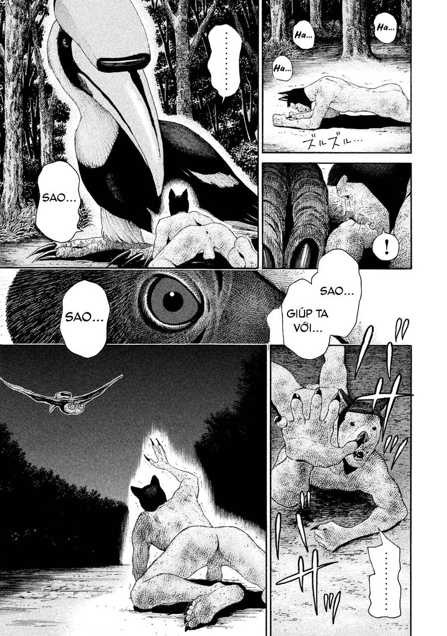 Chiến Binh Cách Mạng: Người Chó Còn Trinh Chapter 14 - 28