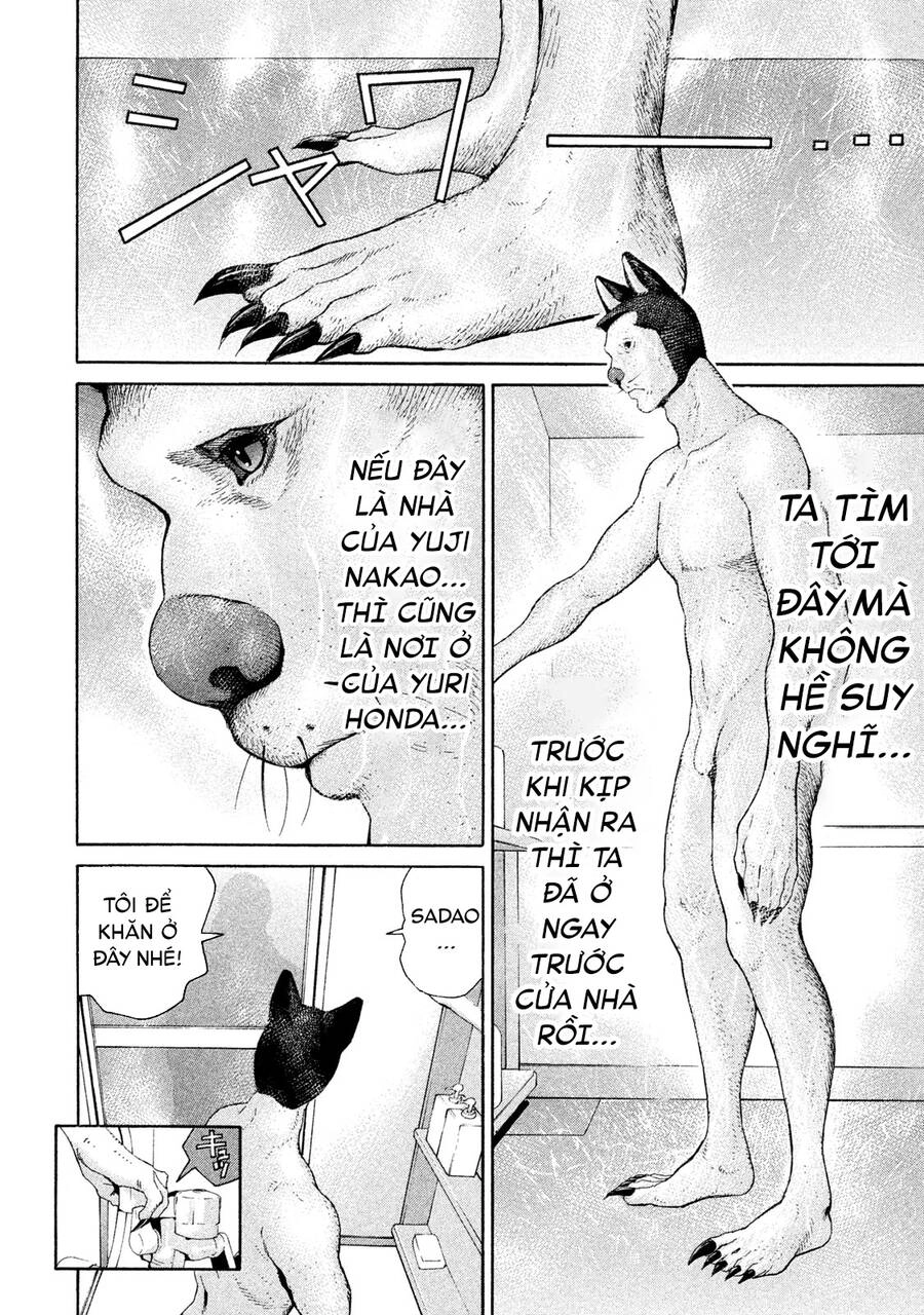 Chiến Binh Cách Mạng: Người Chó Còn Trinh Chapter 15 - 7