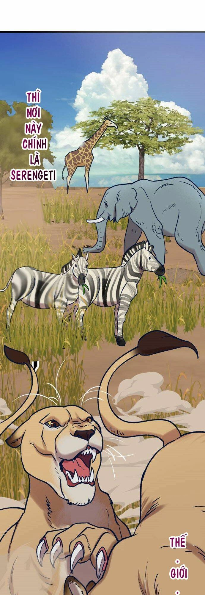 Đời Tư Idol Chapter 5 - 71