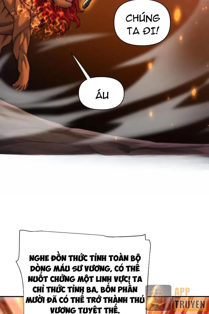 Bắt Đầu Chấn Kinh Nữ Đế Lão Bà, Ta Vô Địch! Chapter 97 - 39