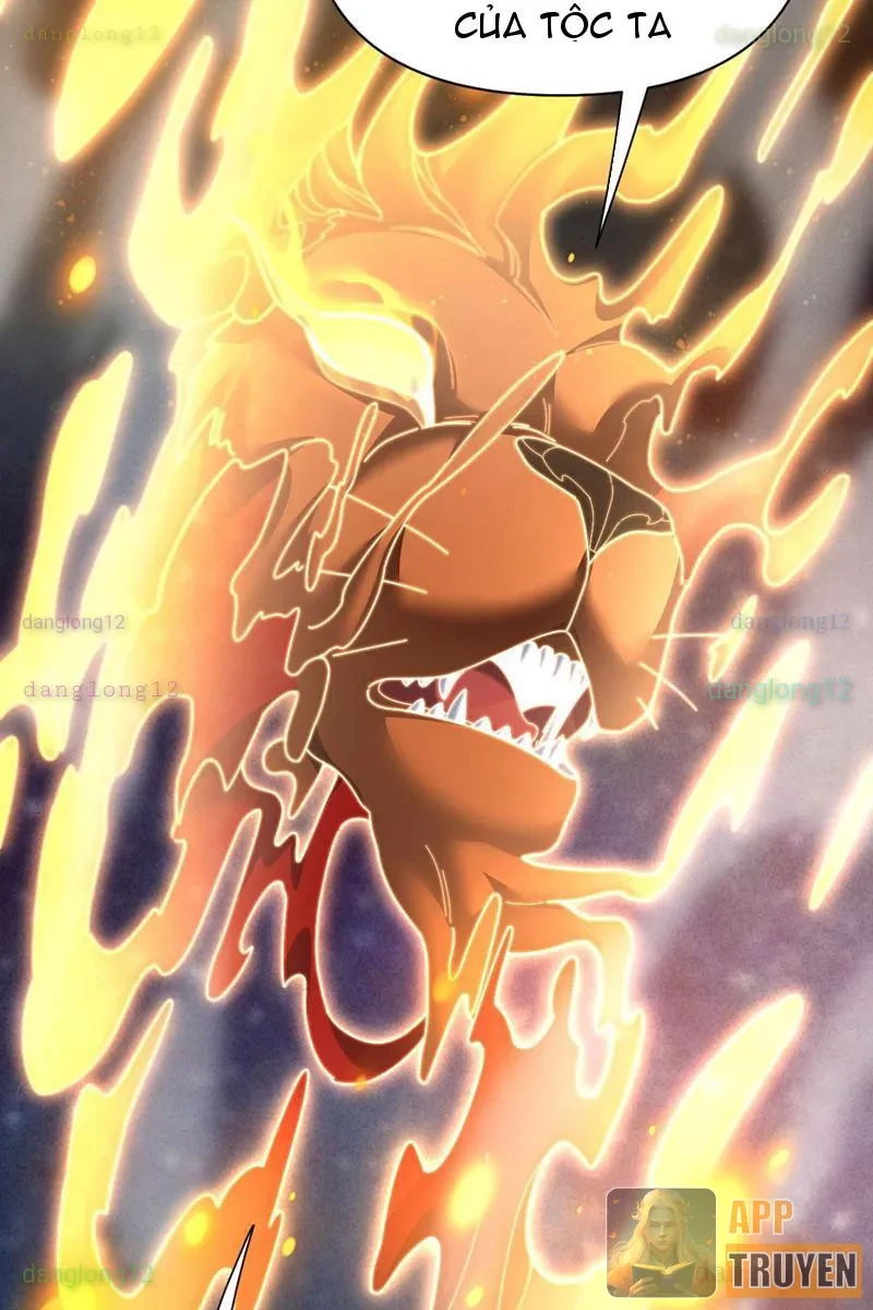 Bắt Đầu Chấn Kinh Nữ Đế Lão Bà, Ta Vô Địch! Chapter 97 - 81