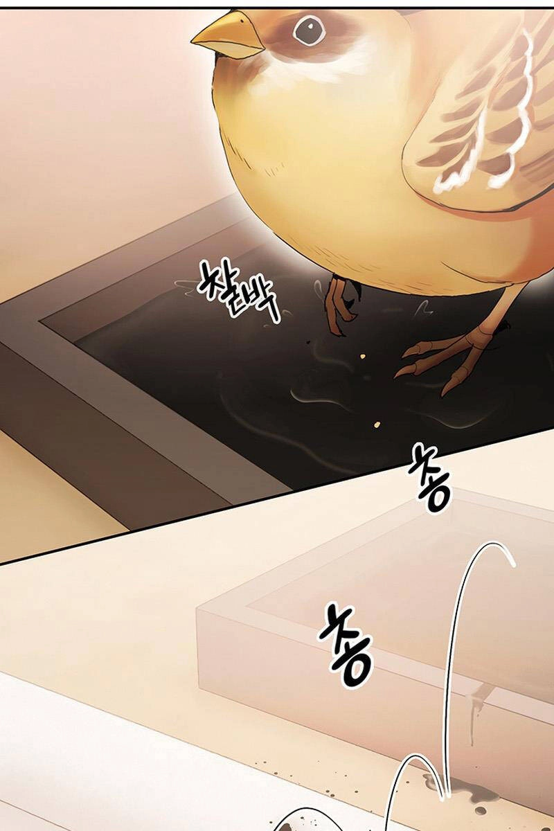 Hắc Bạch Võ Đế Chapter 20 - 116