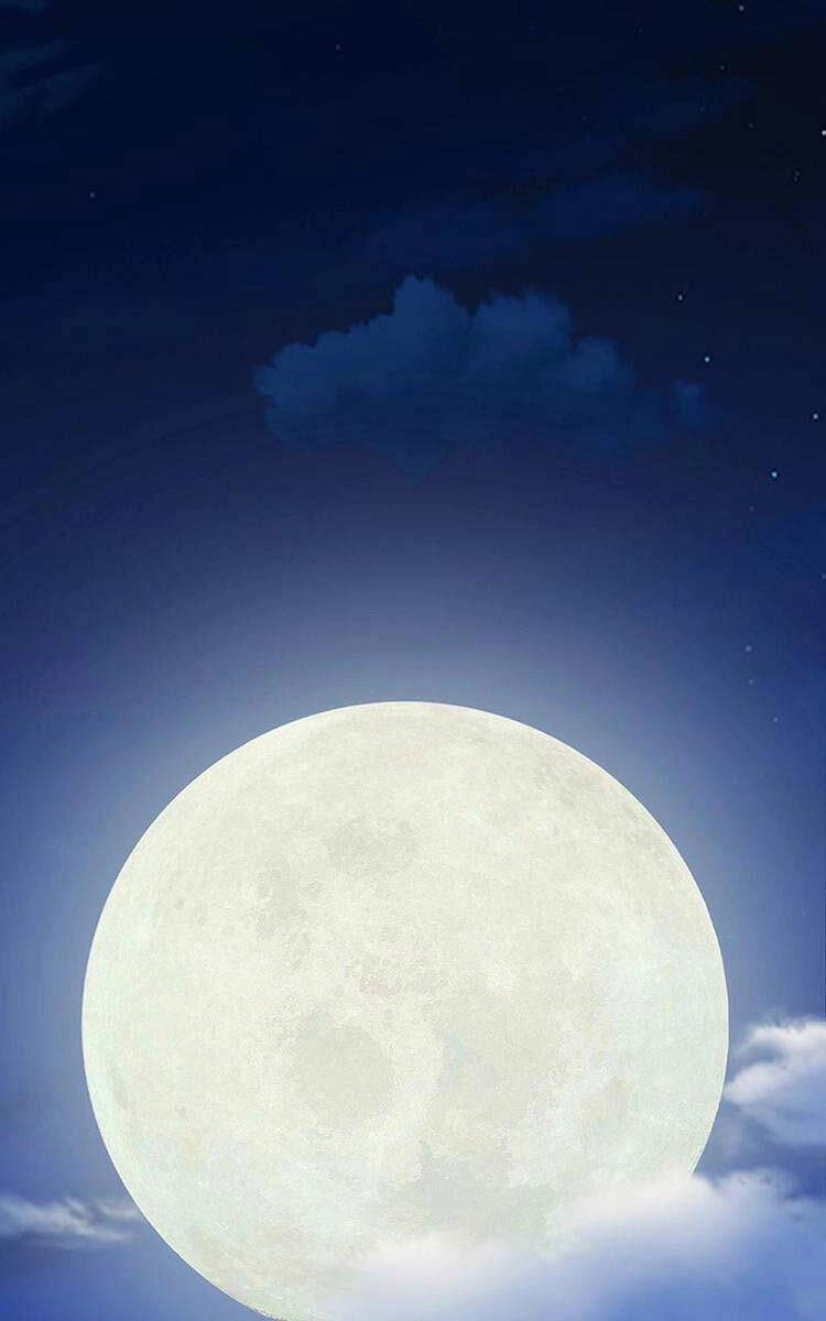 Hắc Bạch Võ Đế Chapter 30 - 82