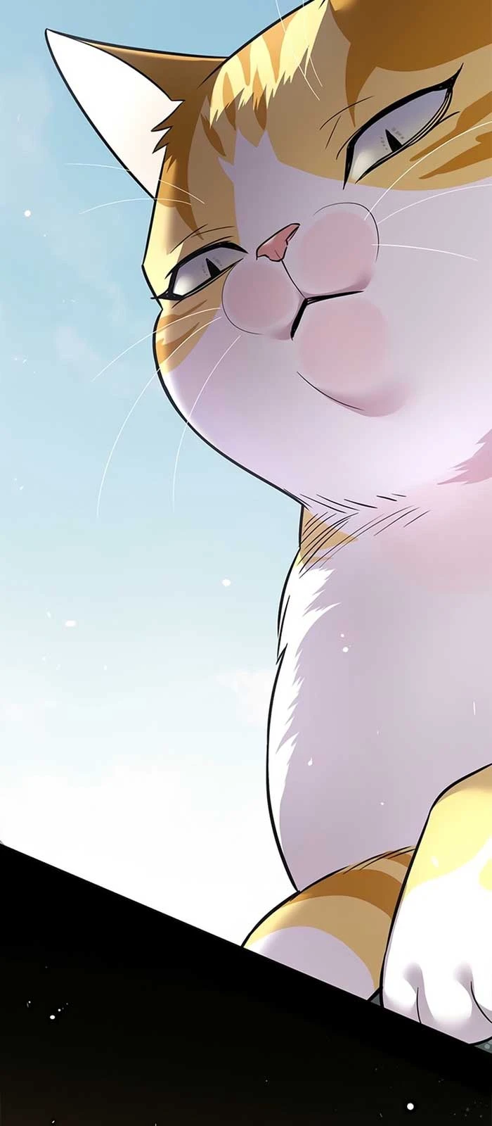 Hoá Thân Thành Mèo Chapter 371 - 23