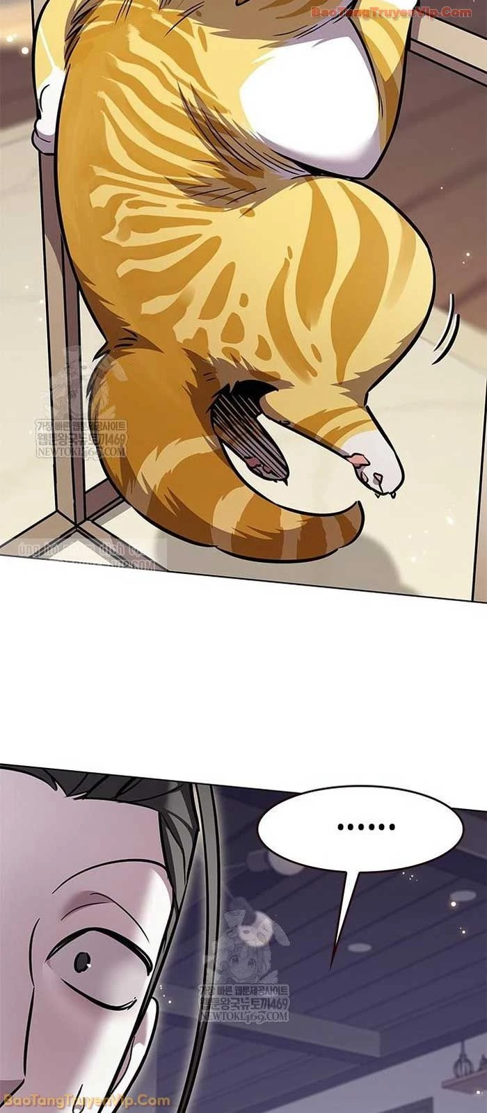 Hoá Thân Thành Mèo Chapter 376 - 87