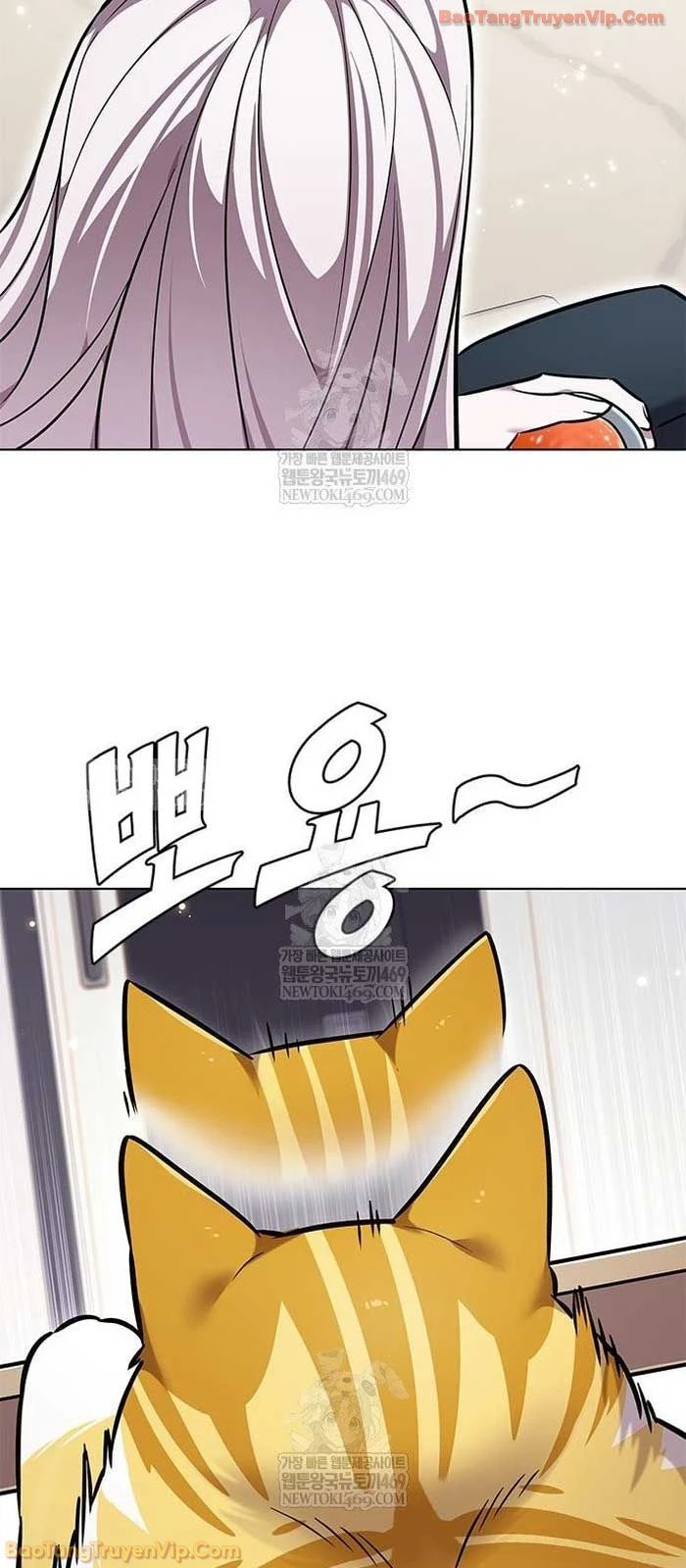 Hoá Thân Thành Mèo Chapter 376 - 91