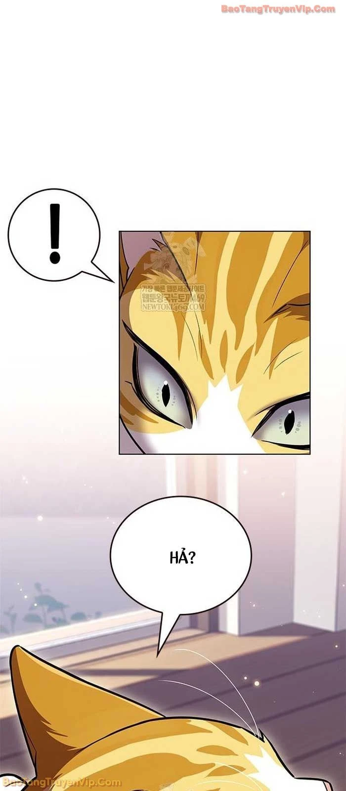 Hoá Thân Thành Mèo Chapter 376 - 93