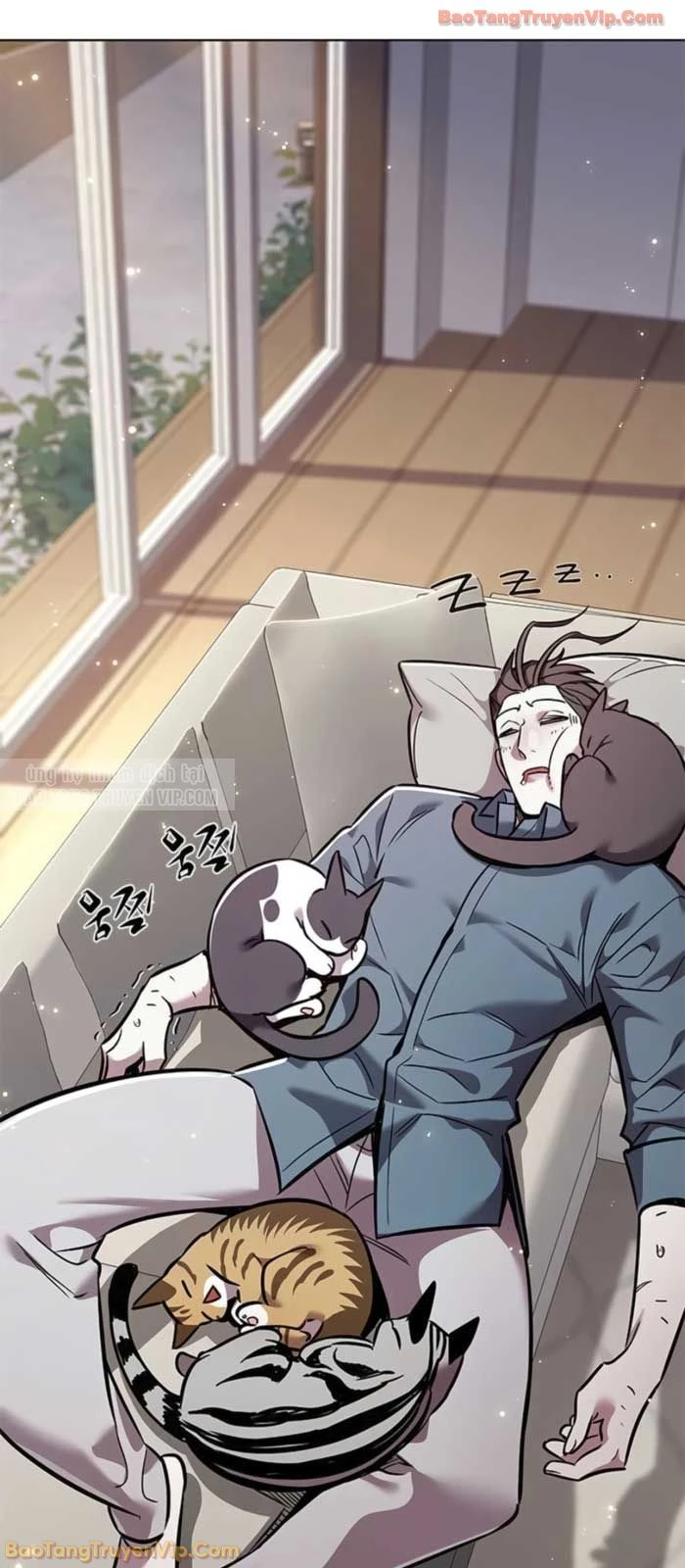 Hoá Thân Thành Mèo Chapter 377 - 2