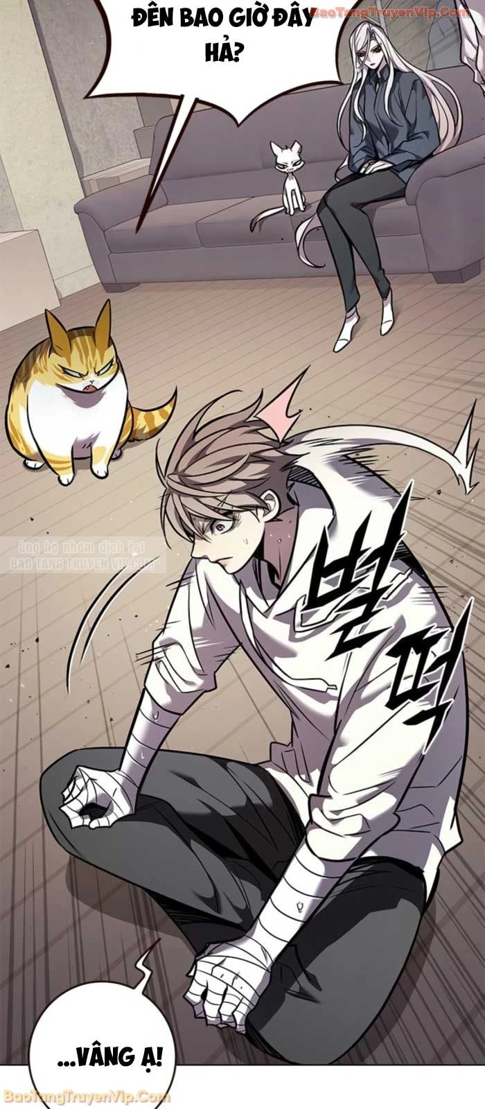 Hoá Thân Thành Mèo Chapter 377 - 14