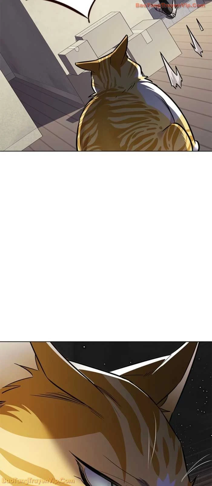 Hoá Thân Thành Mèo Chapter 377 - 23