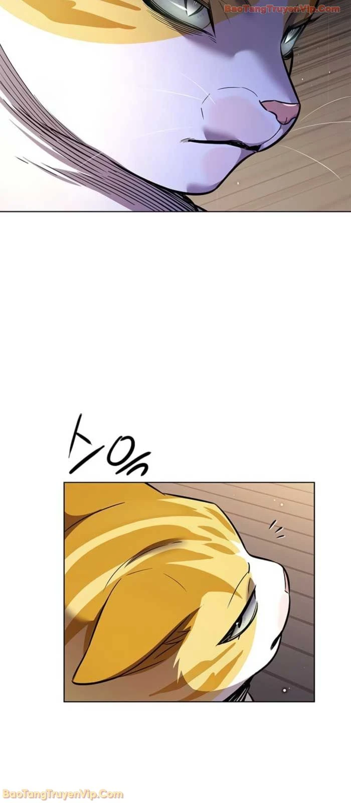 Hoá Thân Thành Mèo Chapter 377 - 24