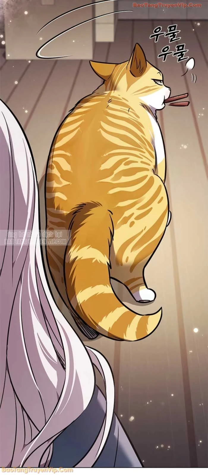 Hoá Thân Thành Mèo Chapter 377 - 33