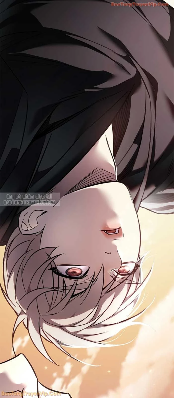 Hoá Thân Thành Mèo Chapter 377 - 43