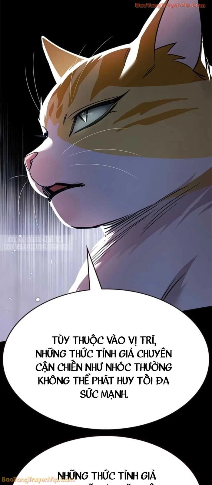 Hoá Thân Thành Mèo Chapter 377 - 50