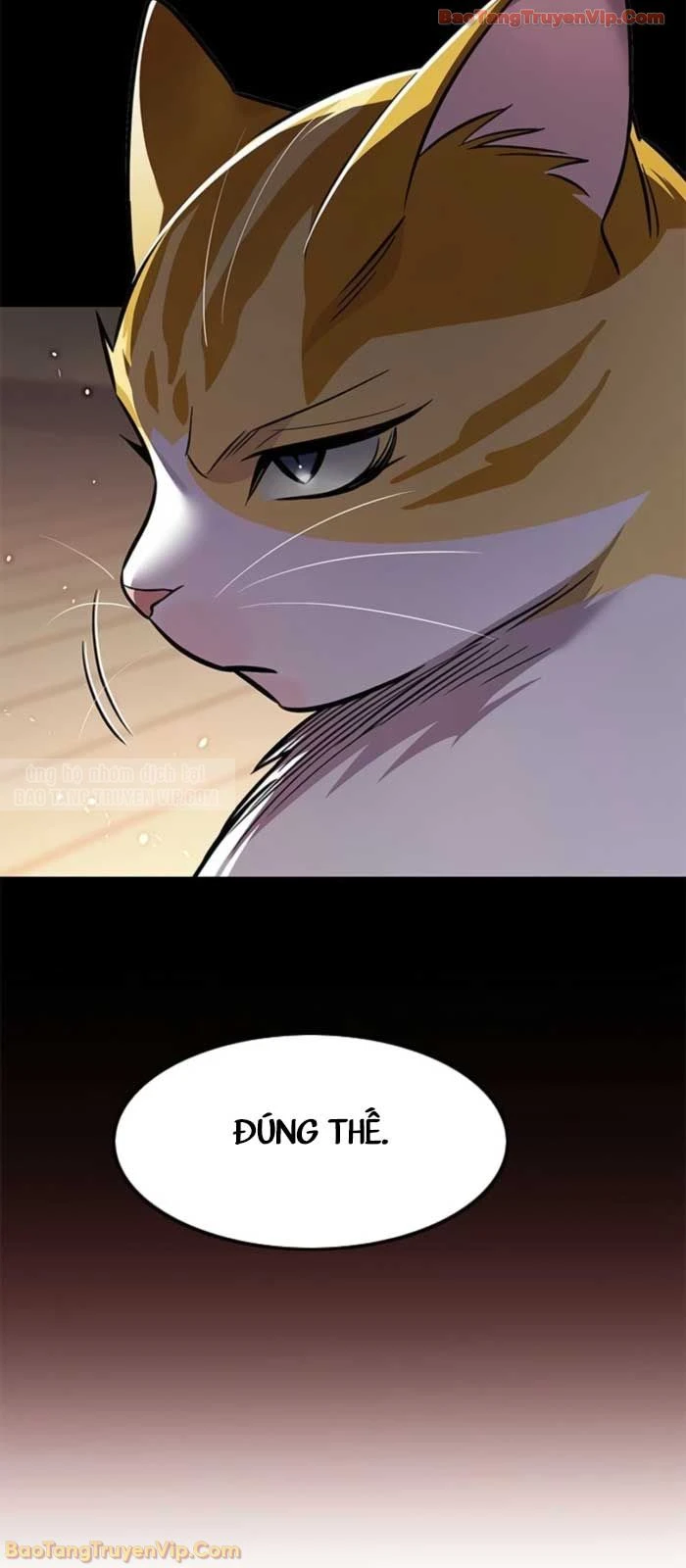 Hoá Thân Thành Mèo Chapter 377 - 53