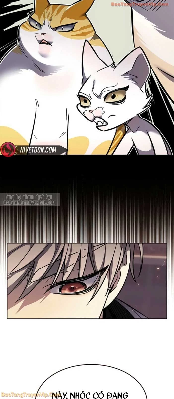 Hoá Thân Thành Mèo Chapter 377 - 88