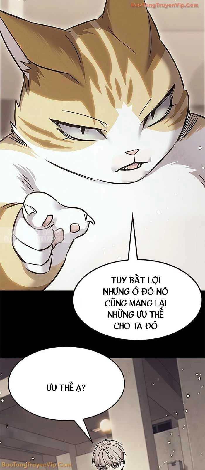 Hoá Thân Thành Mèo Chapter 380 - 59