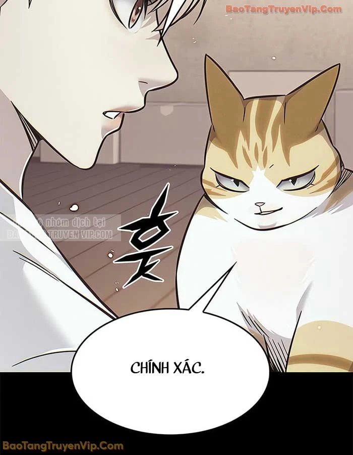 Hoá Thân Thành Mèo Chapter 380 - 61