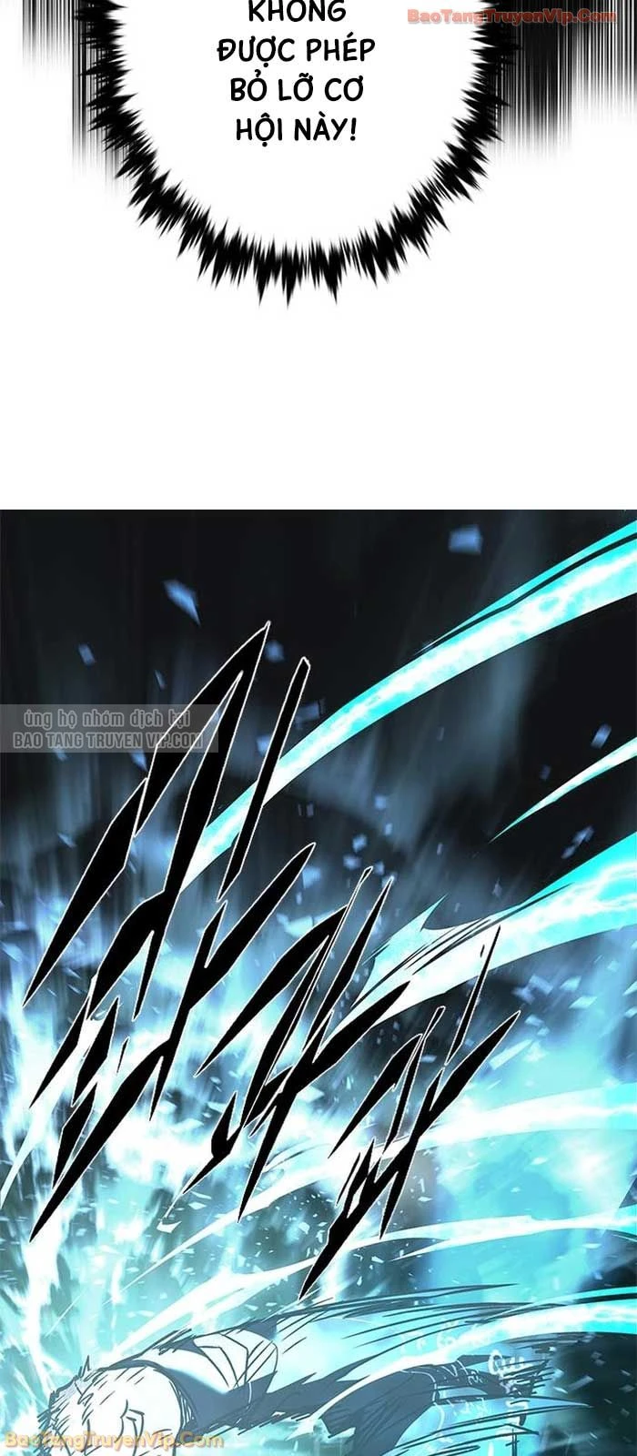 Hoá Thân Thành Mèo Chapter 381 - 83