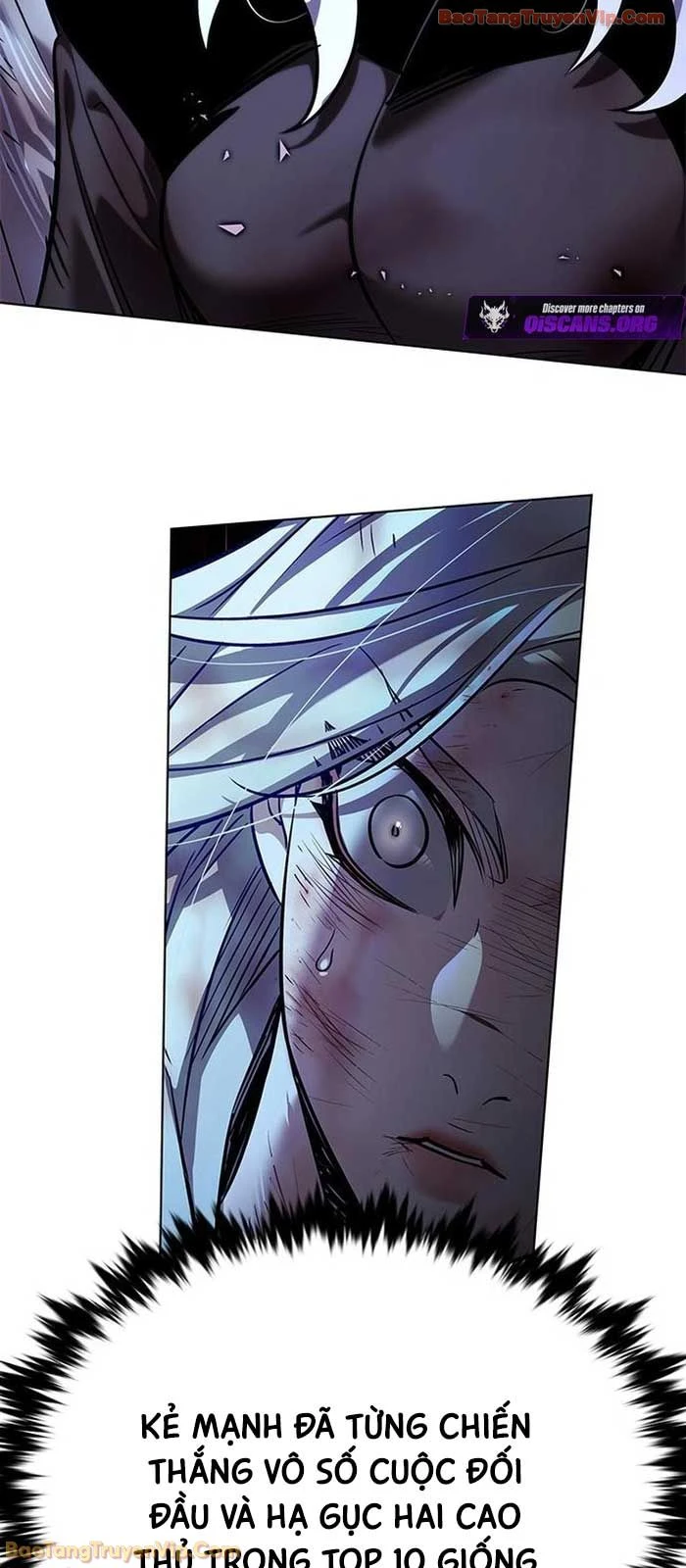 Hoá Thân Thành Mèo Chapter 383 - 4