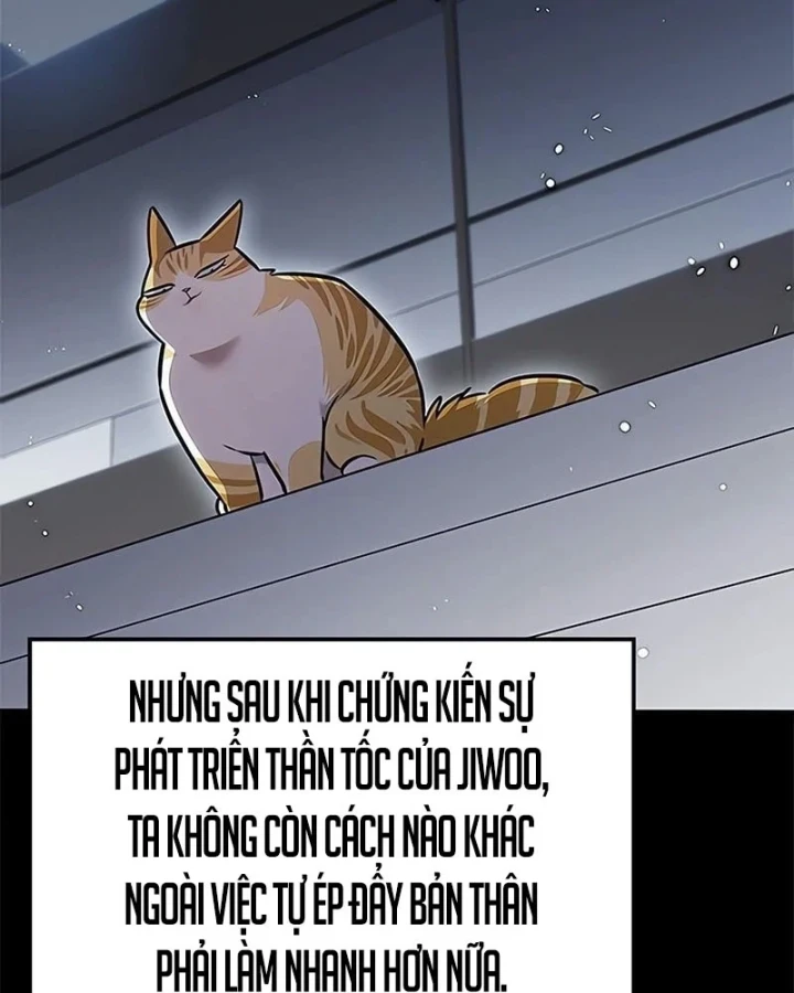 Hoá Thân Thành Mèo Chapter 385 - 27
