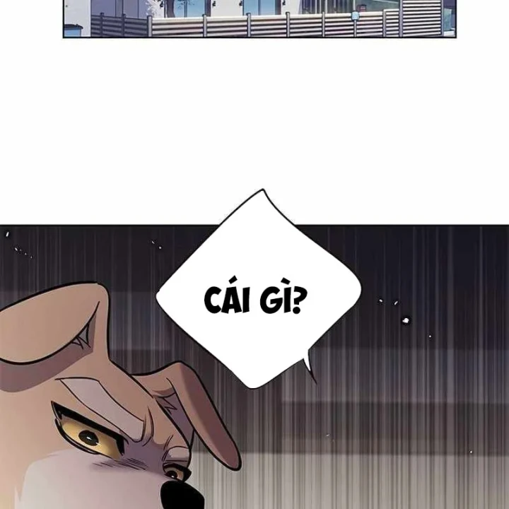 Hoá Thân Thành Mèo Chapter 391 - 2
