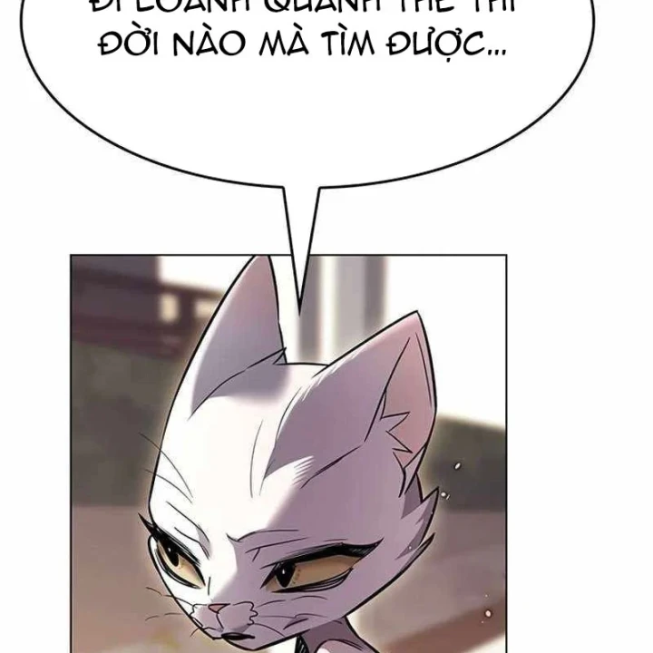 Hoá Thân Thành Mèo Chapter 391 - 177