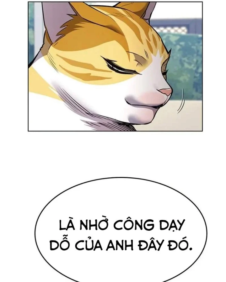 Hoá Thân Thành Mèo Chapter 405 - 119