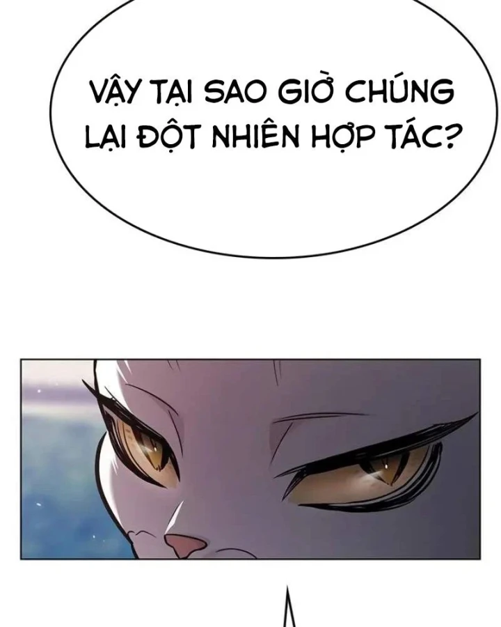 Hoá Thân Thành Mèo Chapter 405 - 151