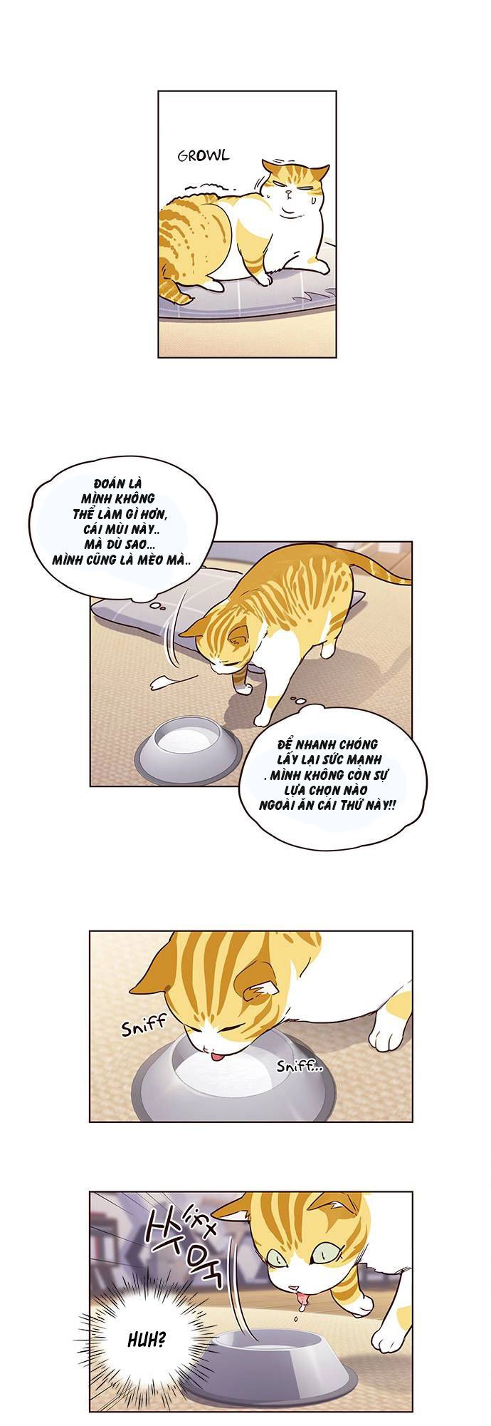 Hoá Thân Thành Mèo Chapter 1 - 35
