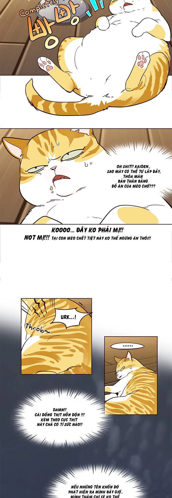 Hoá Thân Thành Mèo Chapter 2 - 14