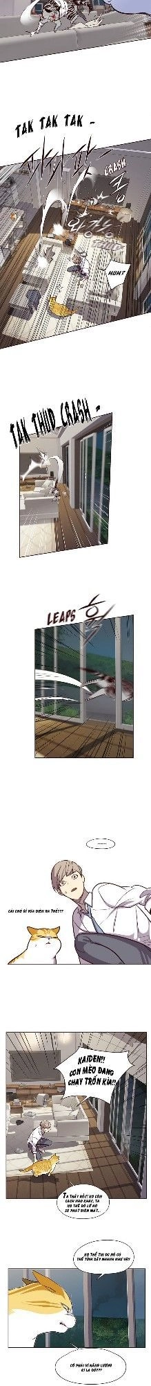 Hoá Thân Thành Mèo Chapter 4 - 37