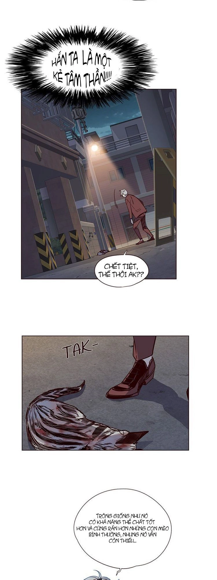 Hoá Thân Thành Mèo Chapter 5 - 30